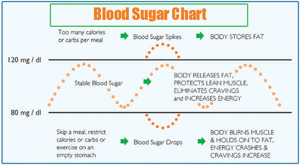 Blood Sugar Stabilizer Report
