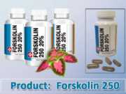 Forskolin 250 Review