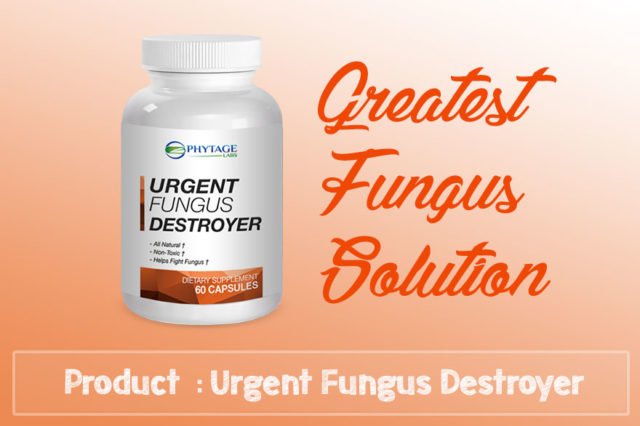 Urgent Fungus Destroyer Review