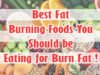 10 Best Fat Burning Foods
