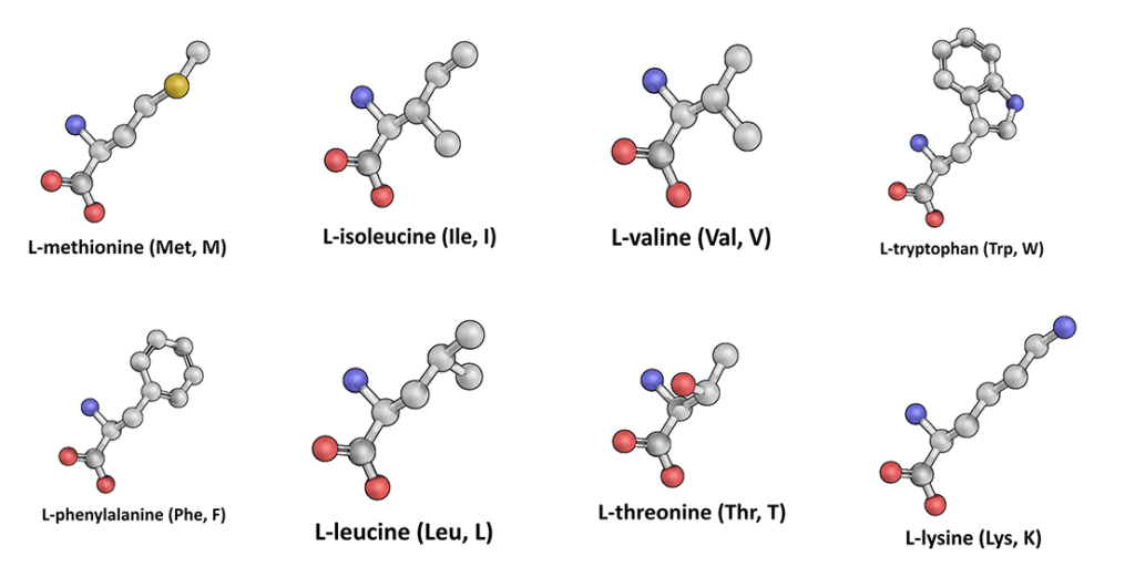 Perfect Amino Ingredients