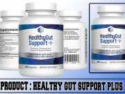 Healthy Gut Support Plus Review