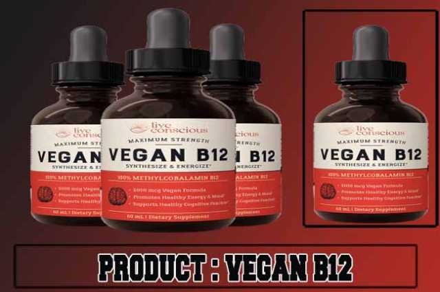 Vegan B12 Review