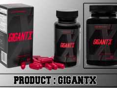 GigantX Review