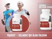Icelandic Red Algae Calcium Review