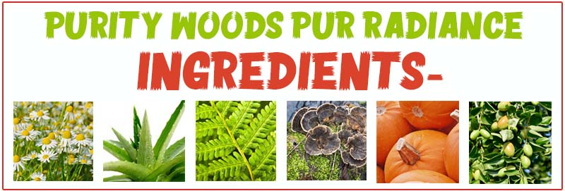 Purity Woods Pur-Radiance ingredients