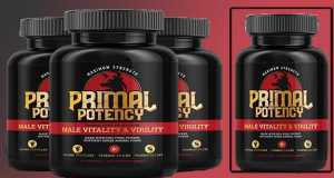 Primal Potency Review