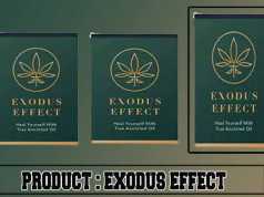 Exodus effect review